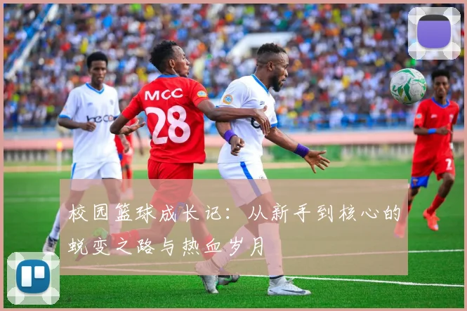 校园篮球成长记：从新手到核心的蜕变之路与热血岁月