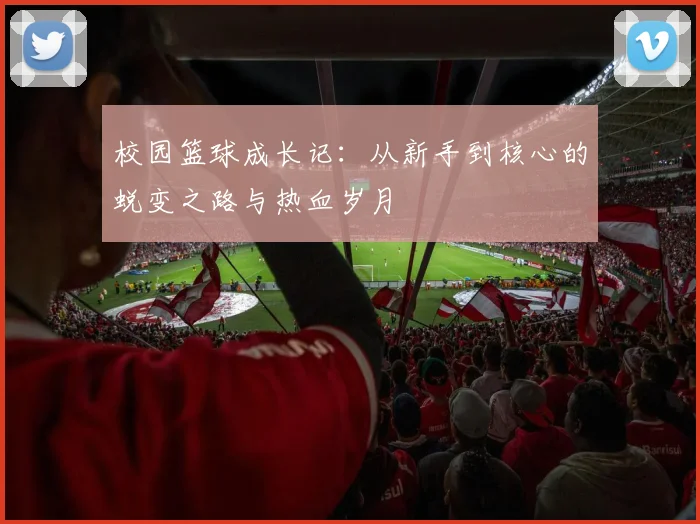 校园篮球成长记：从新手到核心的蜕变之路与热血岁月